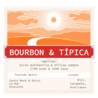 BOURBON & TÍPICA | Café de Ayacucho
